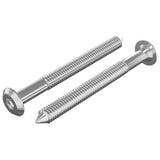 Vidaxl meubelschroeven 2 pcs zilver m6 x 60 mm staal