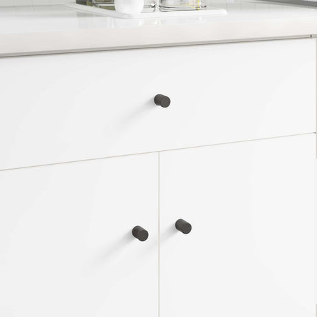 Vidaxl kastknop 2 pcs zwart 18 x 23 mm ijzer