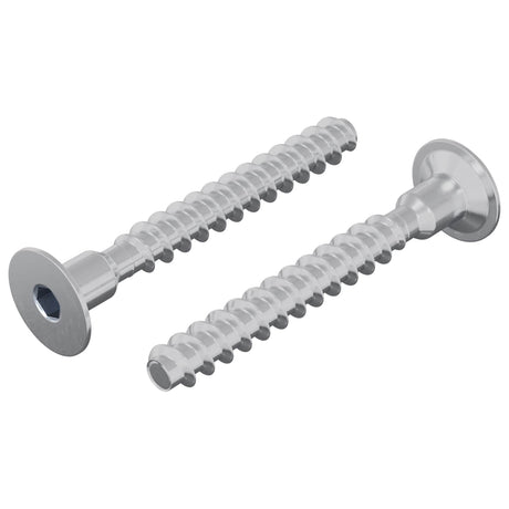 Vidaxl bout 2 pcs verzinkt 5 x 40 mm ijzer
