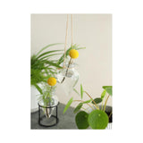 Idées 4 saisons vase brise suspendu ø6xh31cm clair