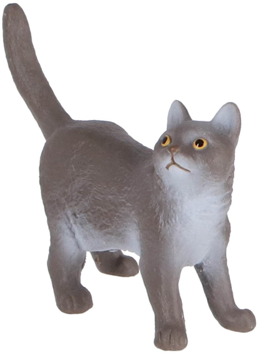 Le monde agricole Schleich - British Shorthair - 13973