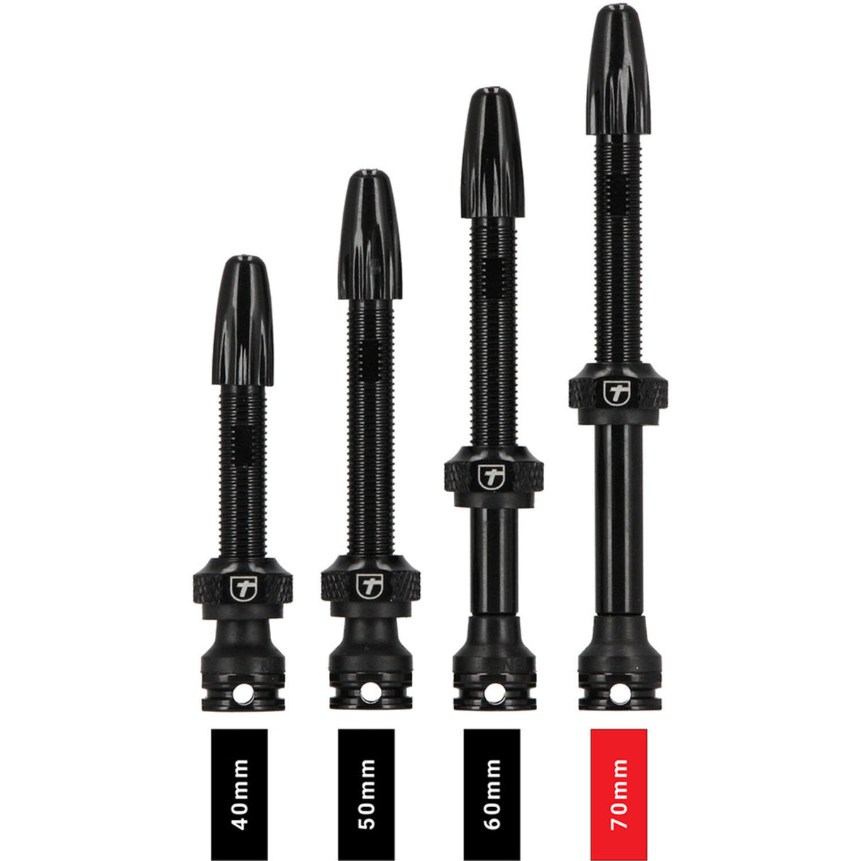 Trivio - valve tubeless noire fvt