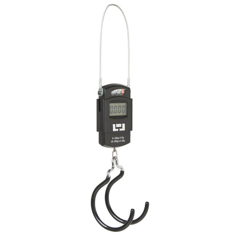 Superbes écailles suspendues tb-dd 10