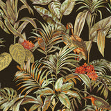 Papier peint Dutch wallcoverings oiseau de paradis noir