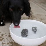 Rocks de chien Rocks de chien