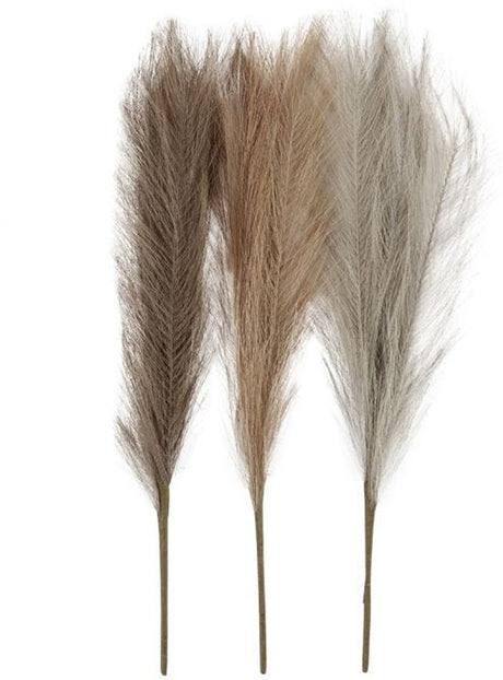 Creativ company herbe de pampa tons terre 50 cm 3 pièces