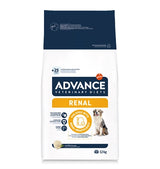 Advance les reins rénaux de chien vétérinaire