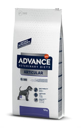 Advance des articulations articulaires de chien vétérinaire