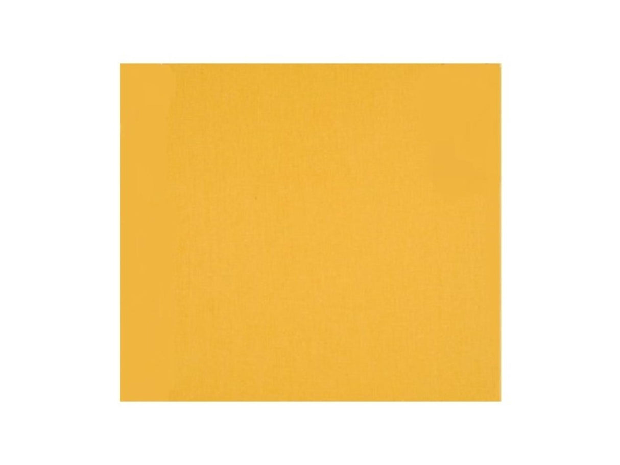 Carton photo 25 feuilles 70x50cm jaune banane