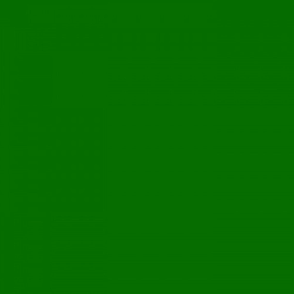 Carton photo 25 feuilles 70x50cm vert herbe