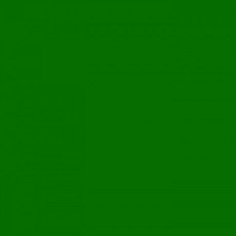 Carton photo 25 feuilles 70x50cm vert herbe
