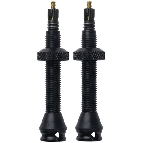 Valve Axa sc tubeless 40mm sv zw set a 2