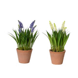 Decoris plante artificielle raisins en pot ø11xh26cm