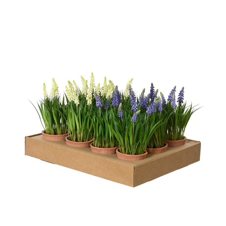 Decoris plante artificielle raisins en pot ø11xh26cm
