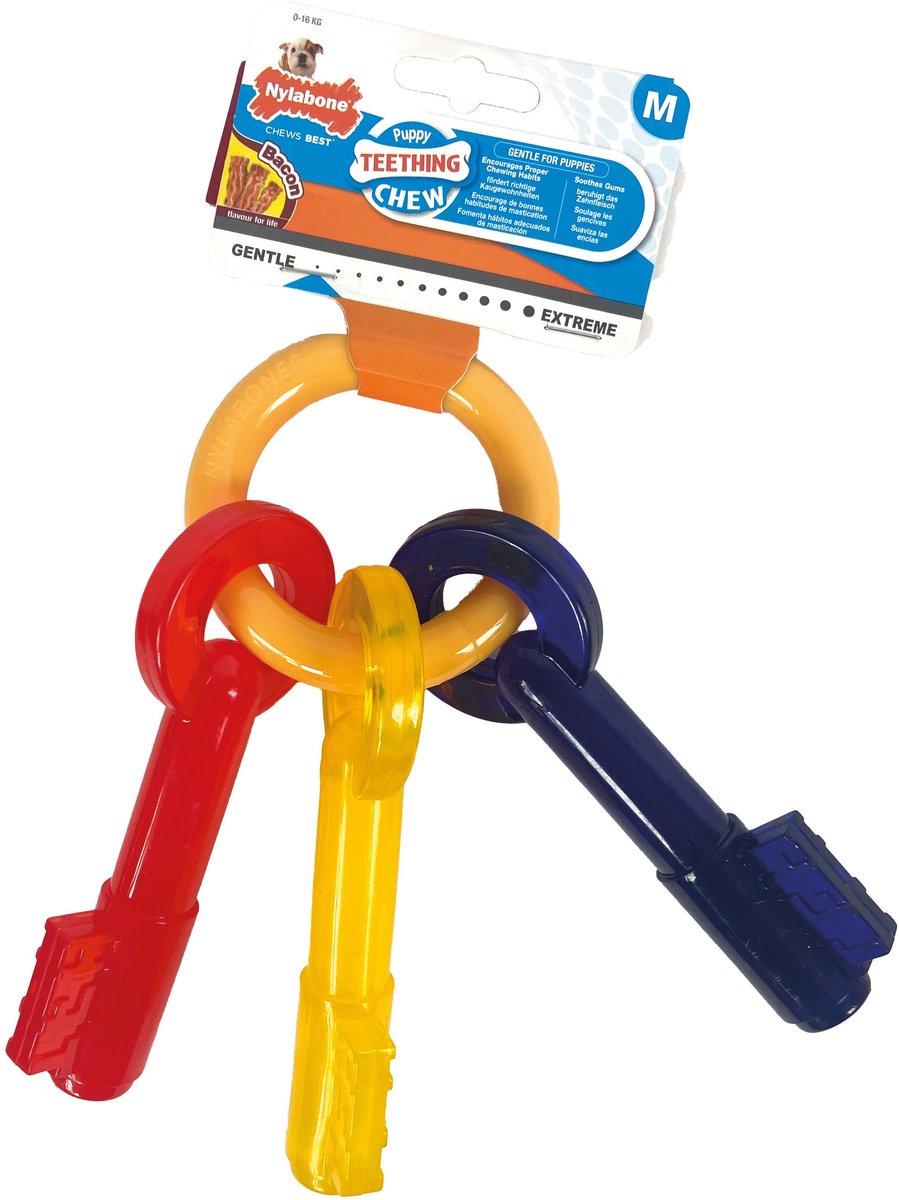 Flexi nylabone chiot à mâcher touches saveur bacon