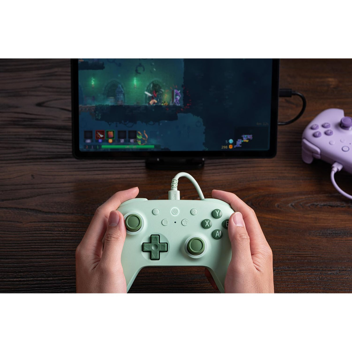 8bitdo ultimate 2c wired