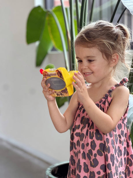 Ambo 3d viewer jouet animaux sauvages carton éducatif.
