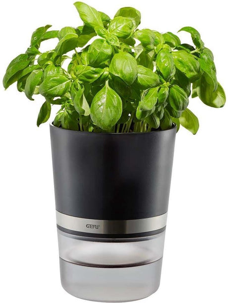 Pot à herbes Gefu botanico - pot à herbes à arrosage automatique - avec réservoir d'eau
