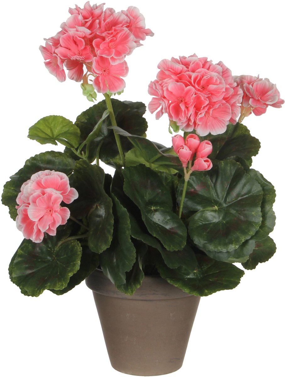 Edelman plante artificielle géranium pêche en pot gris | 2 pièces