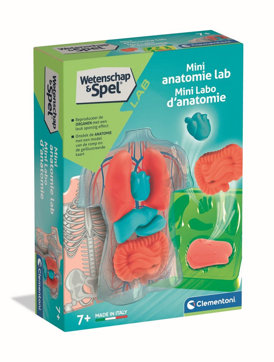 Jeu scientifique Clementoni - anatomie spongieuse