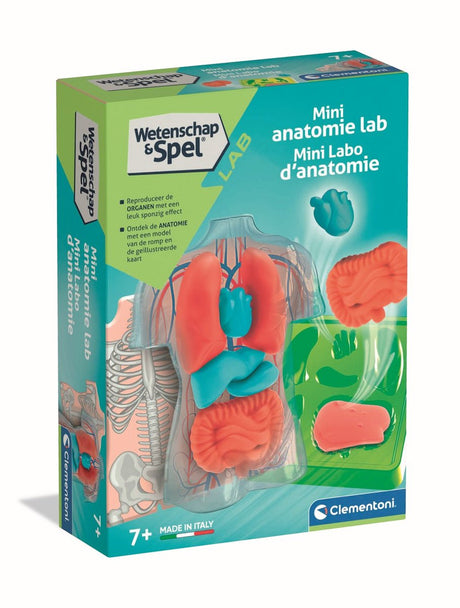 Jeu scientifique Clementoni - anatomie spongieuse