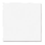 Craft perfect par Tonic Studios Craft Perfect • carte classique 30,5x30,5 cm 5 pièces blanc brillant