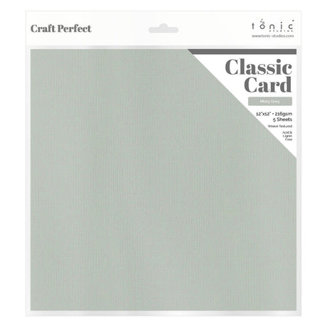 Craft perfect par Tonic Studios Craft Perfect • carte classique 216g 30,5x30,5cm gris brumeux 5pcs
