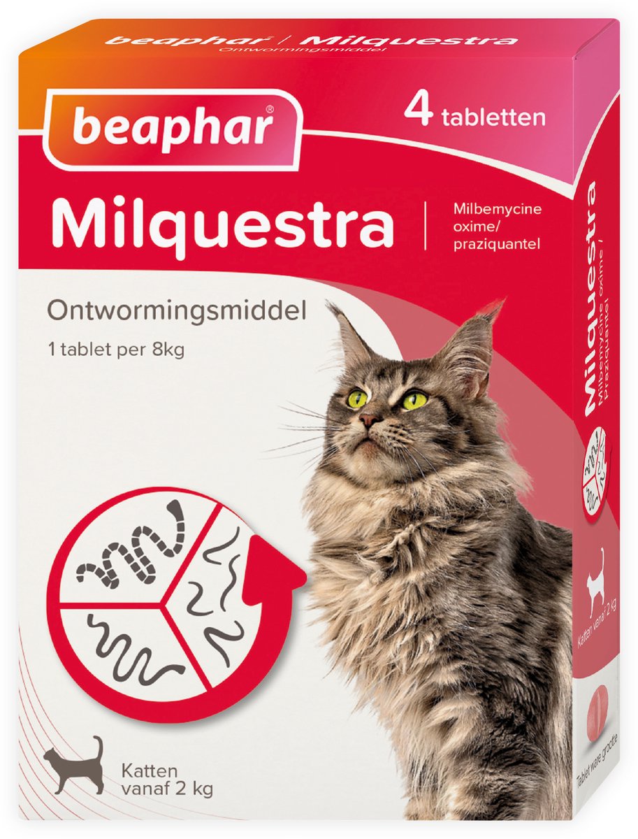 Beapar milquestra chat