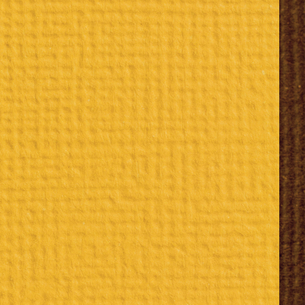 Craft perfect par Tonic Studios Craft Perfect • carte classique 30,5x30,5 cm 5 feuilles jaune souci