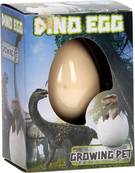 Oeuf de croissance Funtoy - dinosaure
