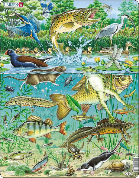 Selecta larsen puzzle animaux - étang, 50 pcs.