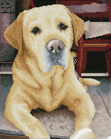 Peinture diamant Diamond dotz® - labrador - 48x58cm - carrés