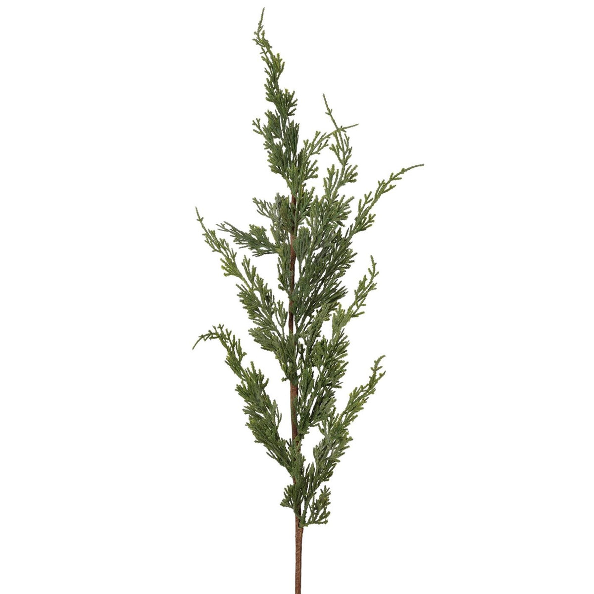 Roberts collection cedertak 80cm grijs