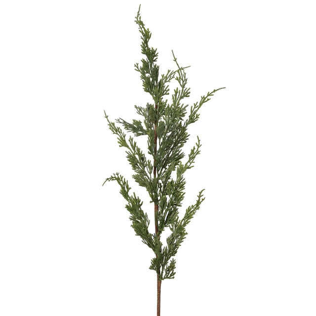 Roberts collection cedertak 80cm grijs