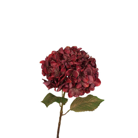 Roberts collection kunstbloem hortensia 55cm burgundy met goud