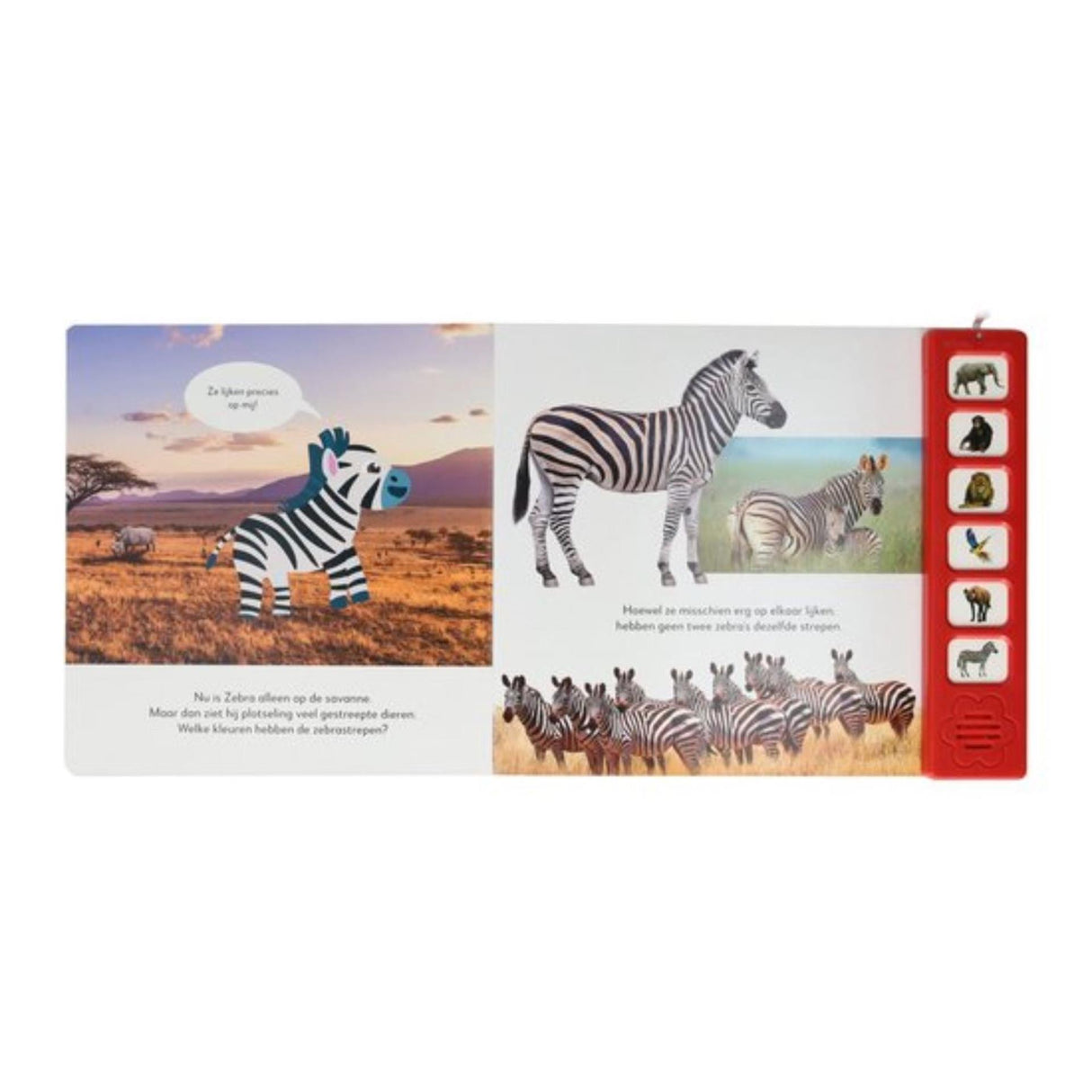 Les cartes Mondi écoutent un livre de sons d'animaux sauvages