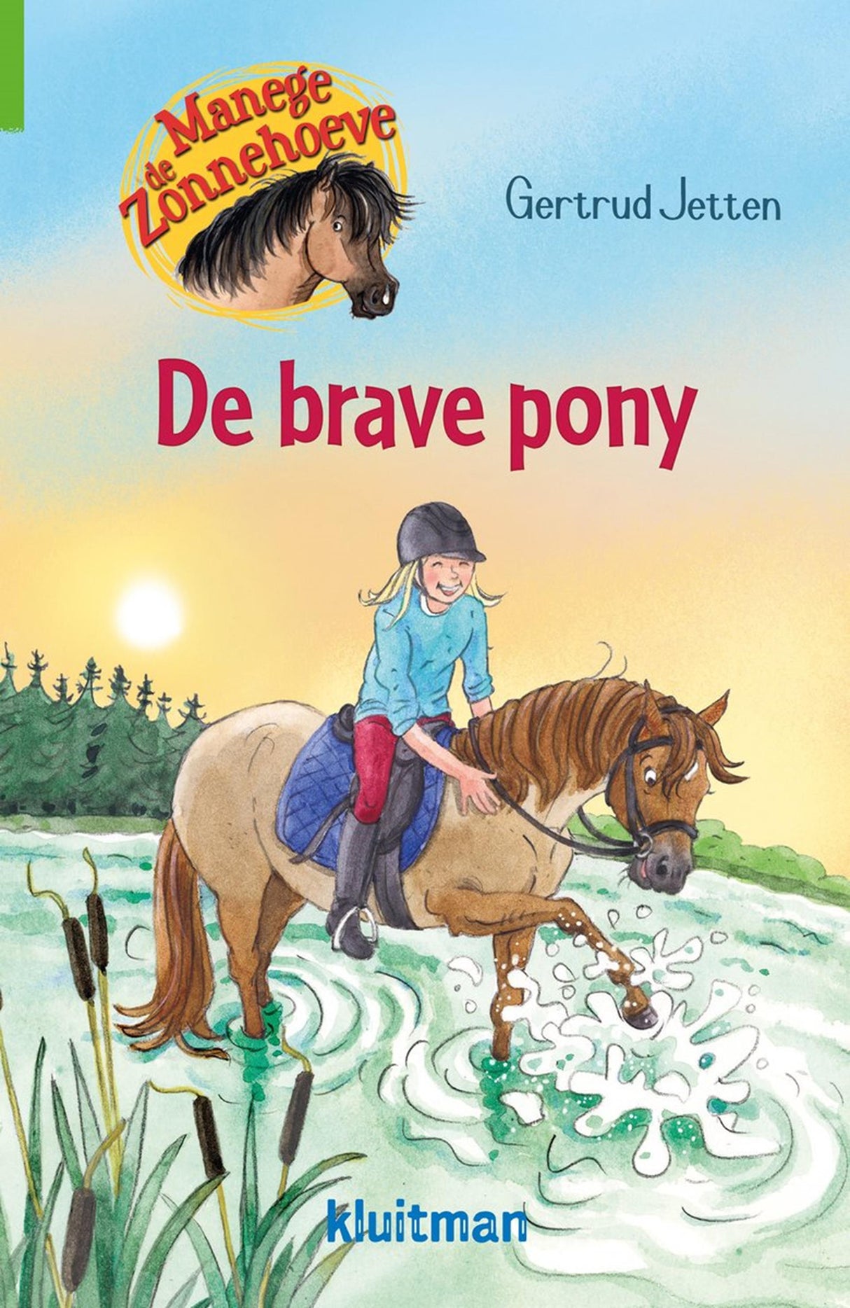 Editeur Kluitman Manège De Zonnehoeve. le bon poney
