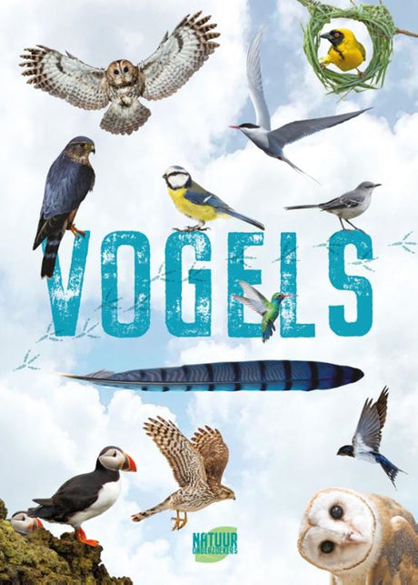 Rebo éditeurs oiseaux - guide et journal nature pour enfants