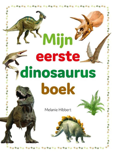 Rebo éditeurs mon premier livre sur les dinosaures 4+