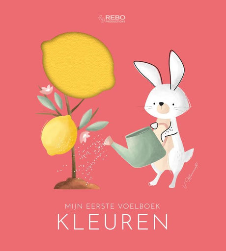 Les couleurs des éditeurs Rebo - premier livre tactile
