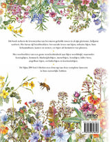 Livre d'abeilles des éditeurs Rebo avec 5 chapitres