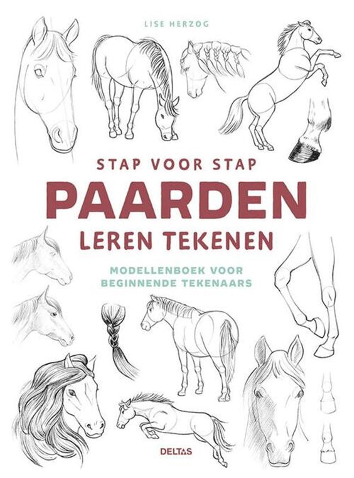 Les deltas apprennent à dessiner des chevaux étape par étape