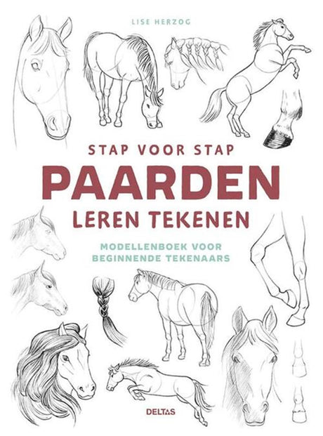 Les deltas apprennent à dessiner des chevaux étape par étape