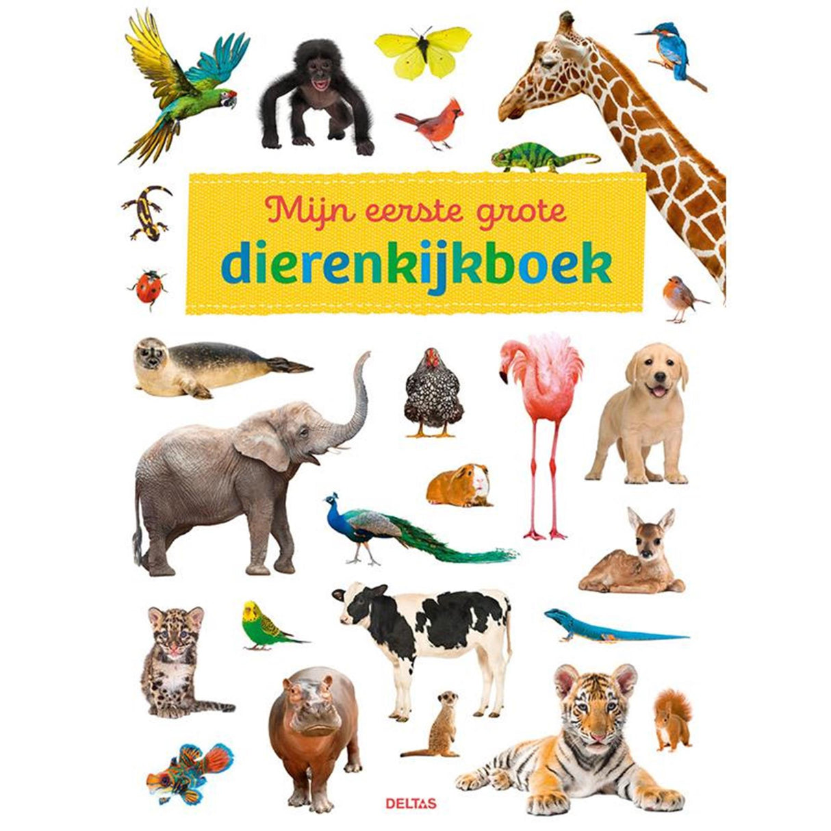 Deltas, mon premier grand livre d'observation des animaux
