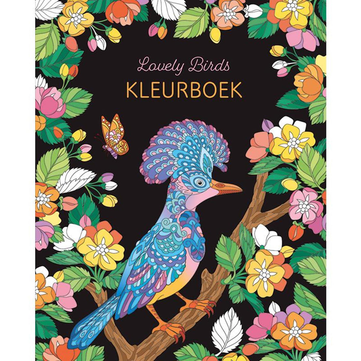 Livre de coloriage de jolis oiseaux Deltas