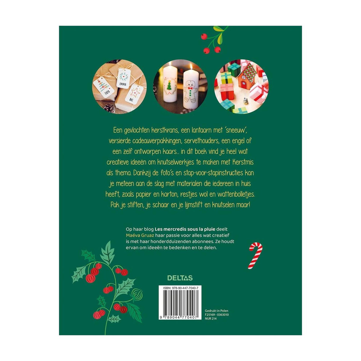 Deltas le plus beau livre de bricolage de Noël