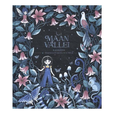 Kluitman livre de coloriage vallée de la lune 88 pages