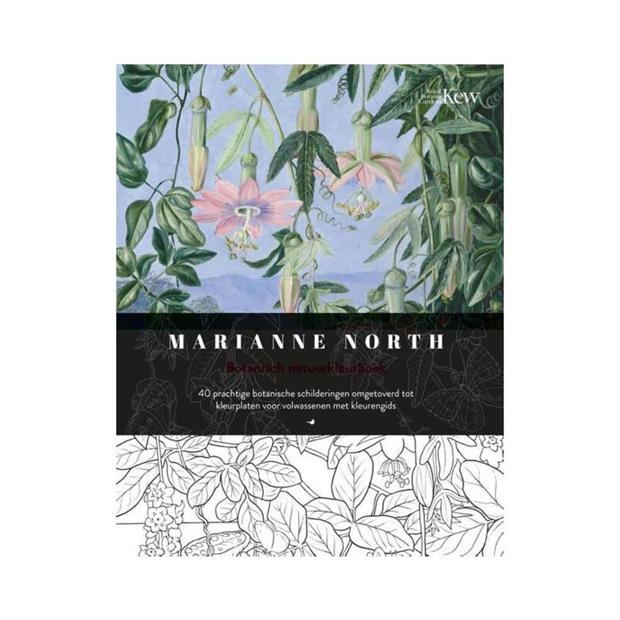 Kluitman Marianne North livre de coloriage nature
