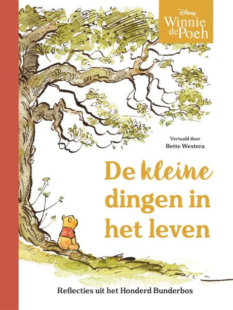 Rubinstein Winnie l'ourson : les petites choses de la vie. reflets de la forêt de cent acres