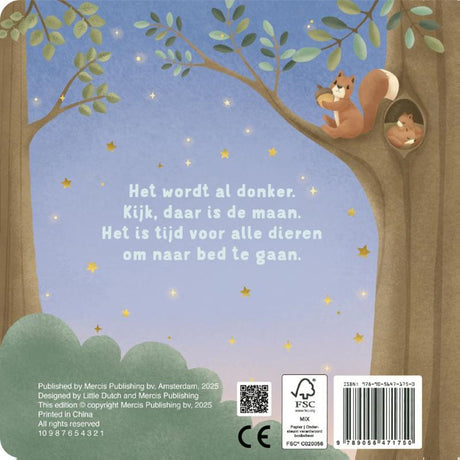 Livre Little Dutch, bonne nuit, petit